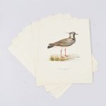 1740 9014 Grafiska blad